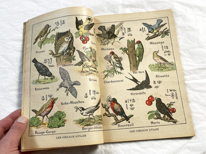 1920s - Rare 1925 French Catholic Almanac - Illustrated Religious Vintage Book - La Bonne Presse Publishing Ephemera - Historical Document