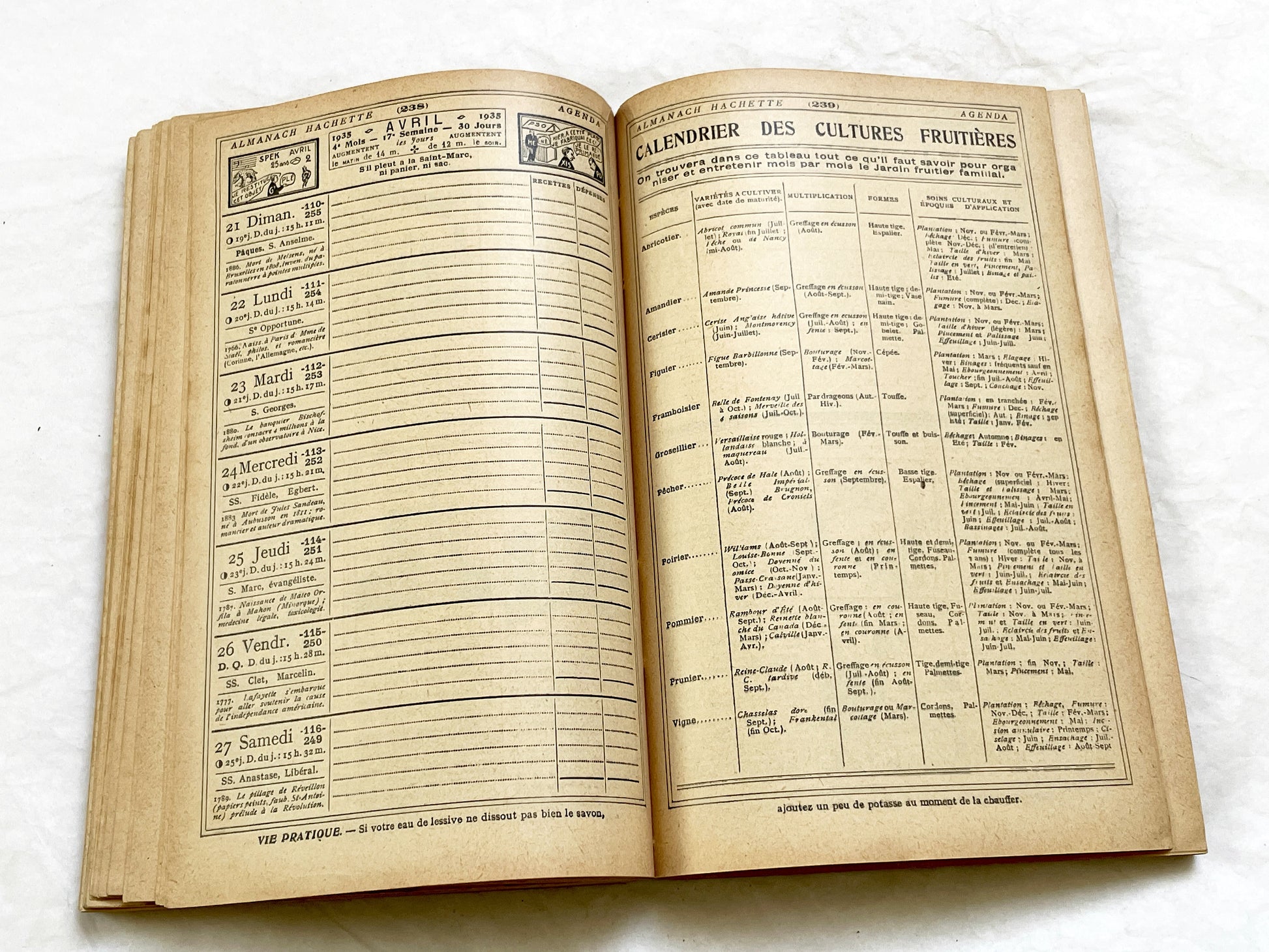1930s – 430 Pages Almanach Hachette – Vintage French illustrated almanac – Practical life & cultural encyclopedia