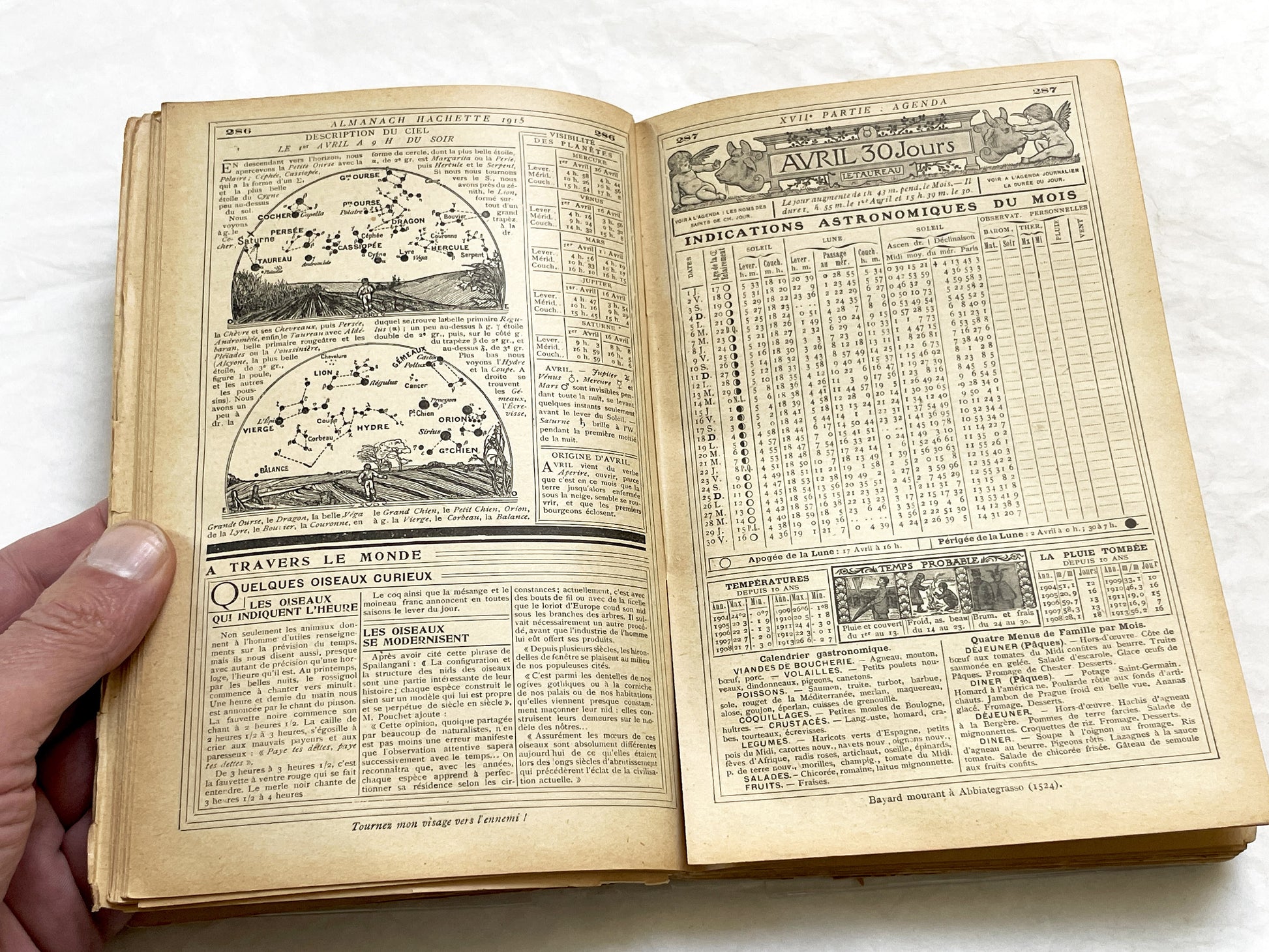 1910s – 500 Pages Almanach Hachette – Vintage French almanac – WWI edition “Petite Encyclopédie de la Vie Pratique”