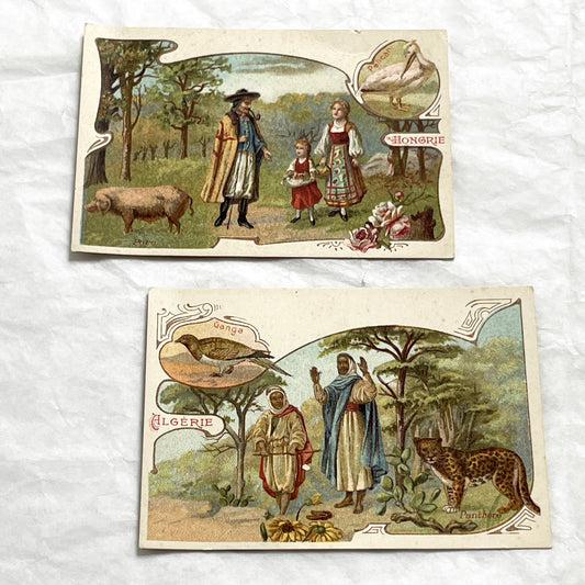 1900s - 2 Antique French Trade Cards - Moka Leroux Advertising - World's Forests Series - Hungary - Algeria - Cultural Illustration