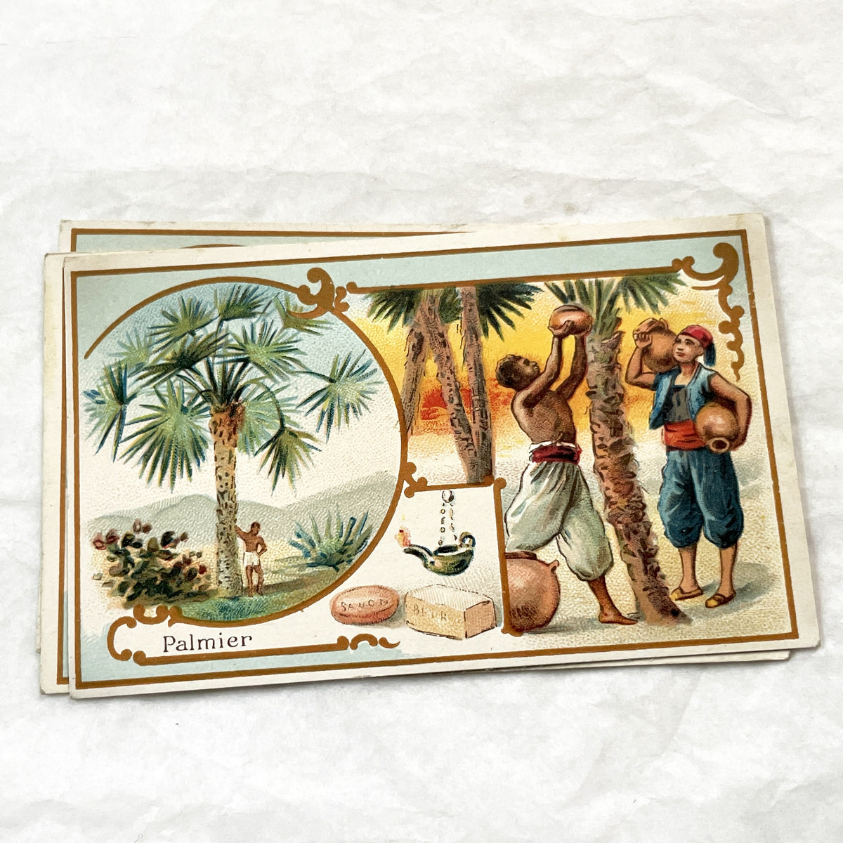 Late 19th - 5 Antique French Trade Cards - Advertising Chromolithographs - Educational Botanical Series - Bernheim & Cie Store Ephemera