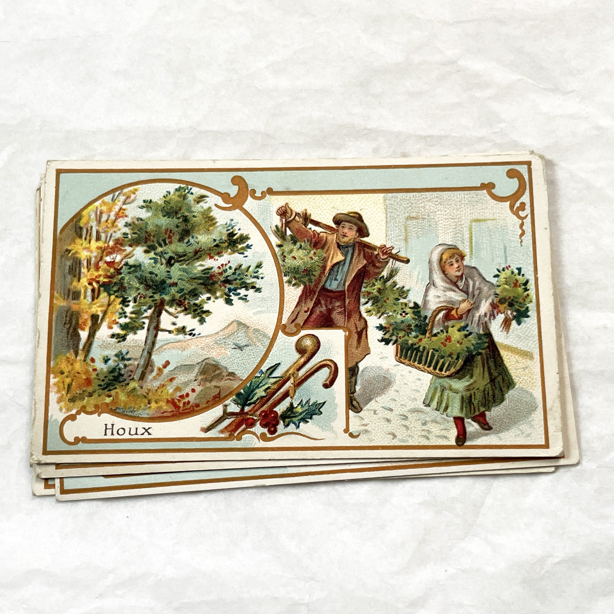 Late 19th - 5 Antique French Trade Cards - Advertising Chromolithographs - Educational Botanical Series - Bernheim & Cie Store Ephemera