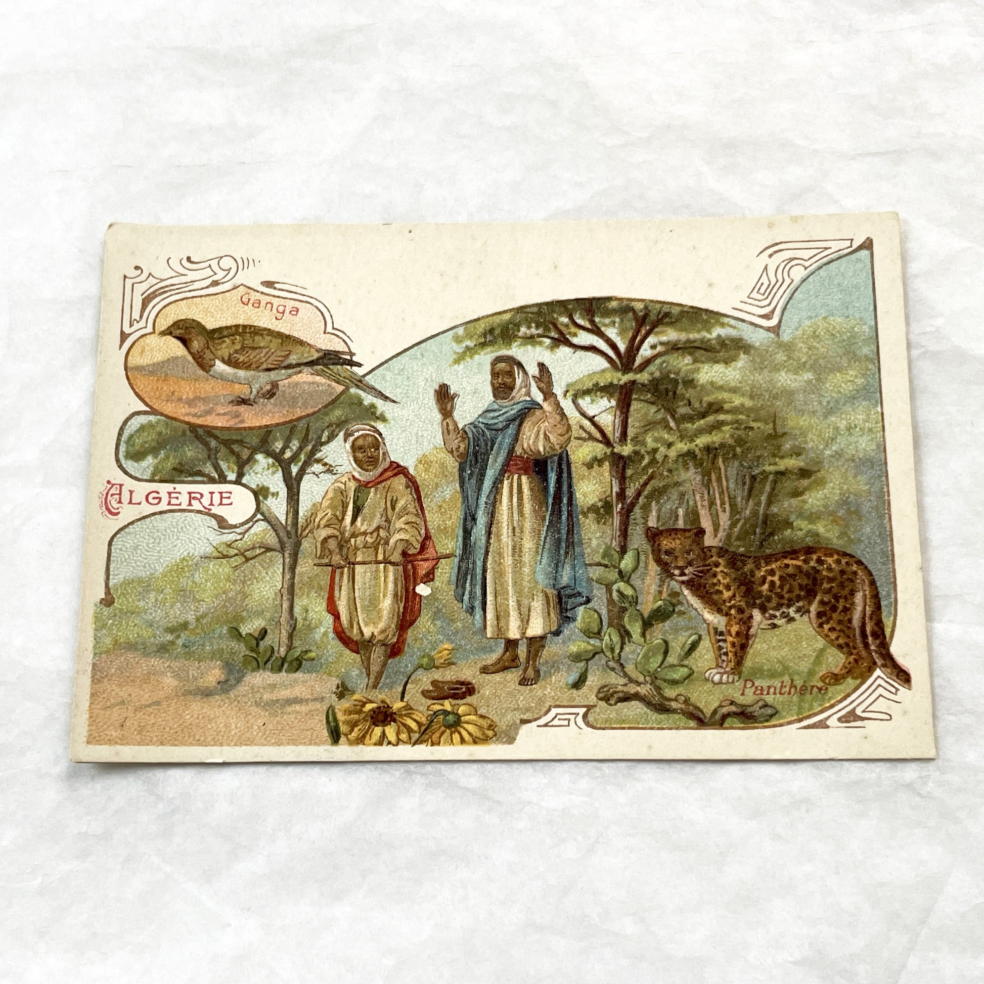 1900s - 2 Antique French Trade Cards - Moka Leroux Advertising - World's Forests Series - Hungary - Algeria - Cultural Illustration