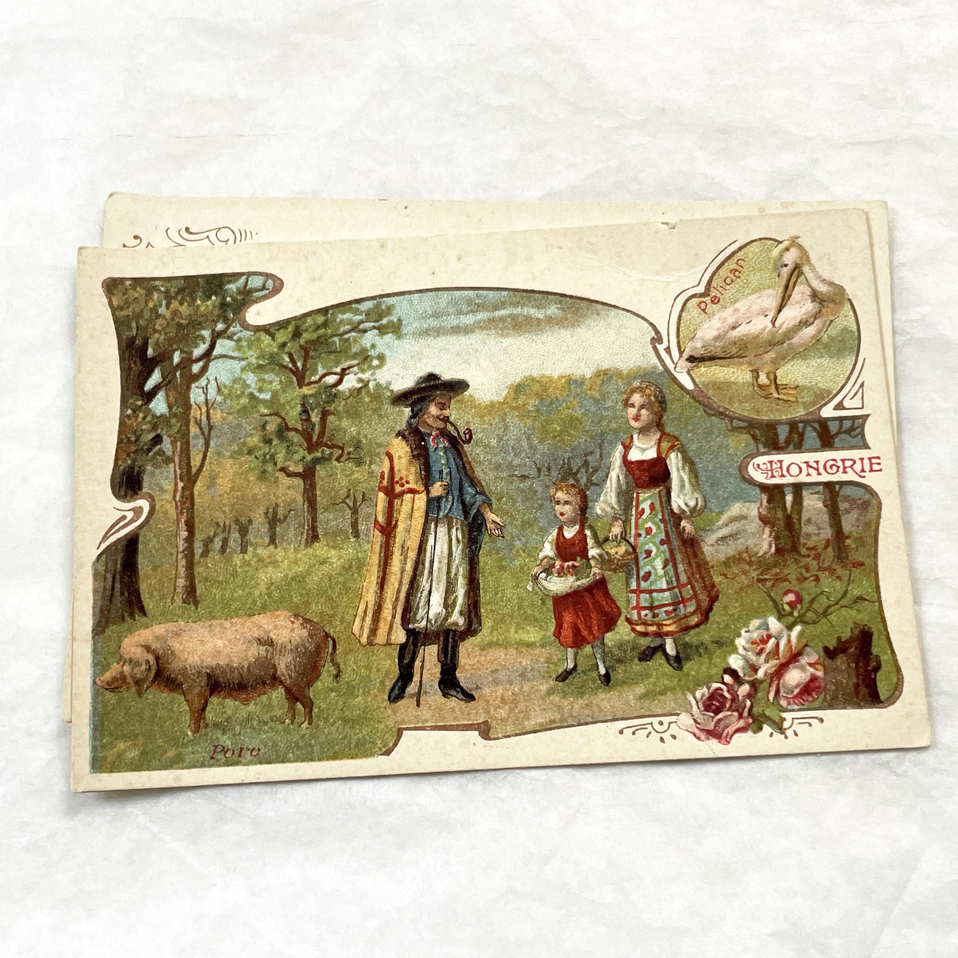 1900s - 2 Antique French Trade Cards - Moka Leroux Advertising - World's Forests Series - Hungary - Algeria - Cultural Illustration