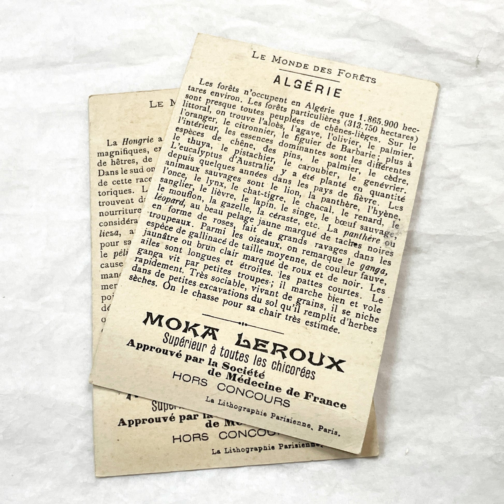 1900s - 2 Antique French Trade Cards - Moka Leroux Advertising - World's Forests Series - Hungary - Algeria - Cultural Illustration