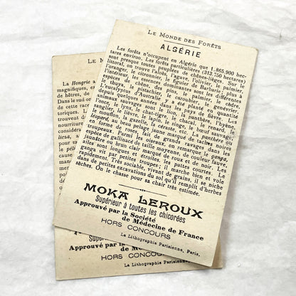 1900s - 2 Antique French Trade Cards - Moka Leroux Advertising - World's Forests Series - Hungary - Algeria - Cultural Illustration