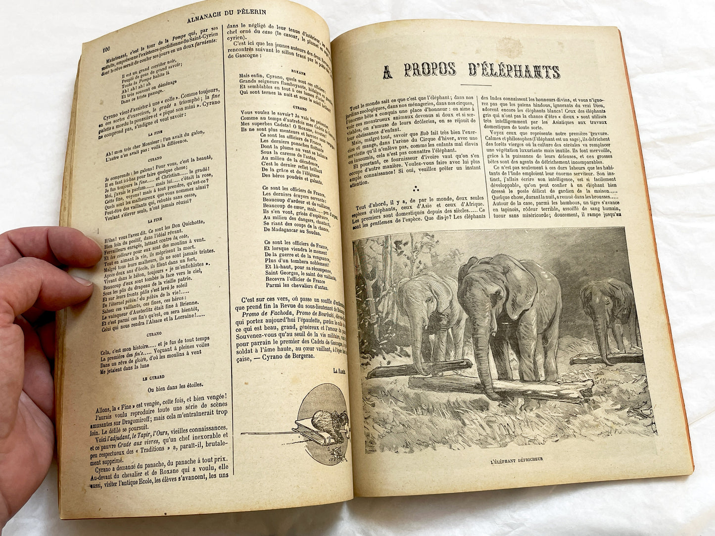 1900s - Vintage Almanac - Le Pelerin Illustrated Annual - Catholic Publication - Paris 1900 - Historical Document - Religious Heritage