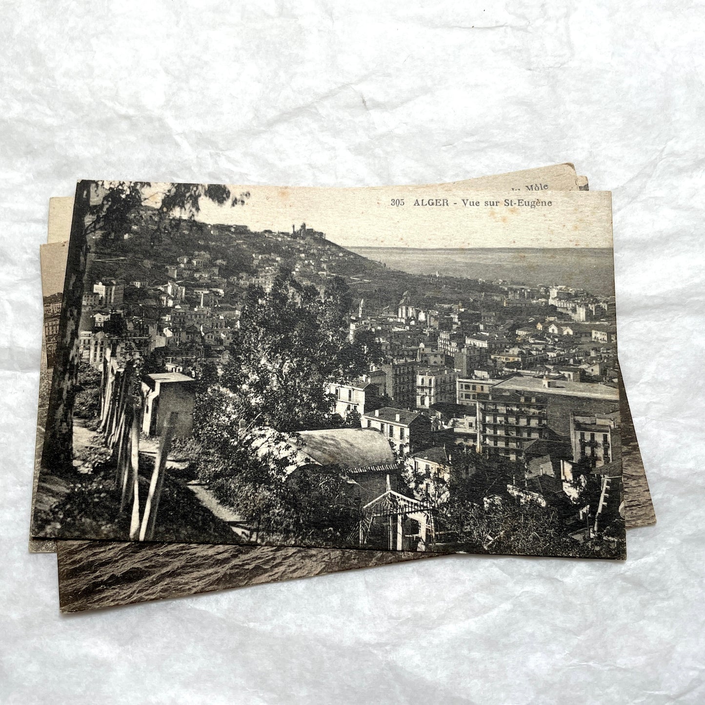 Lot of 1910s Algiers postcards showing French colonial city views, harbor, train station, and theater architecture.