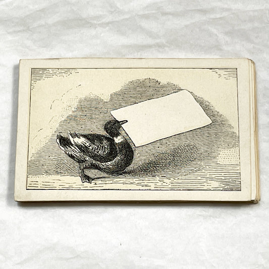 Late 19th - Fancy Advertising Card - Customizable Blank Space - Charming Duck Illustration - Vintage Commercial Ephemera For Merchants