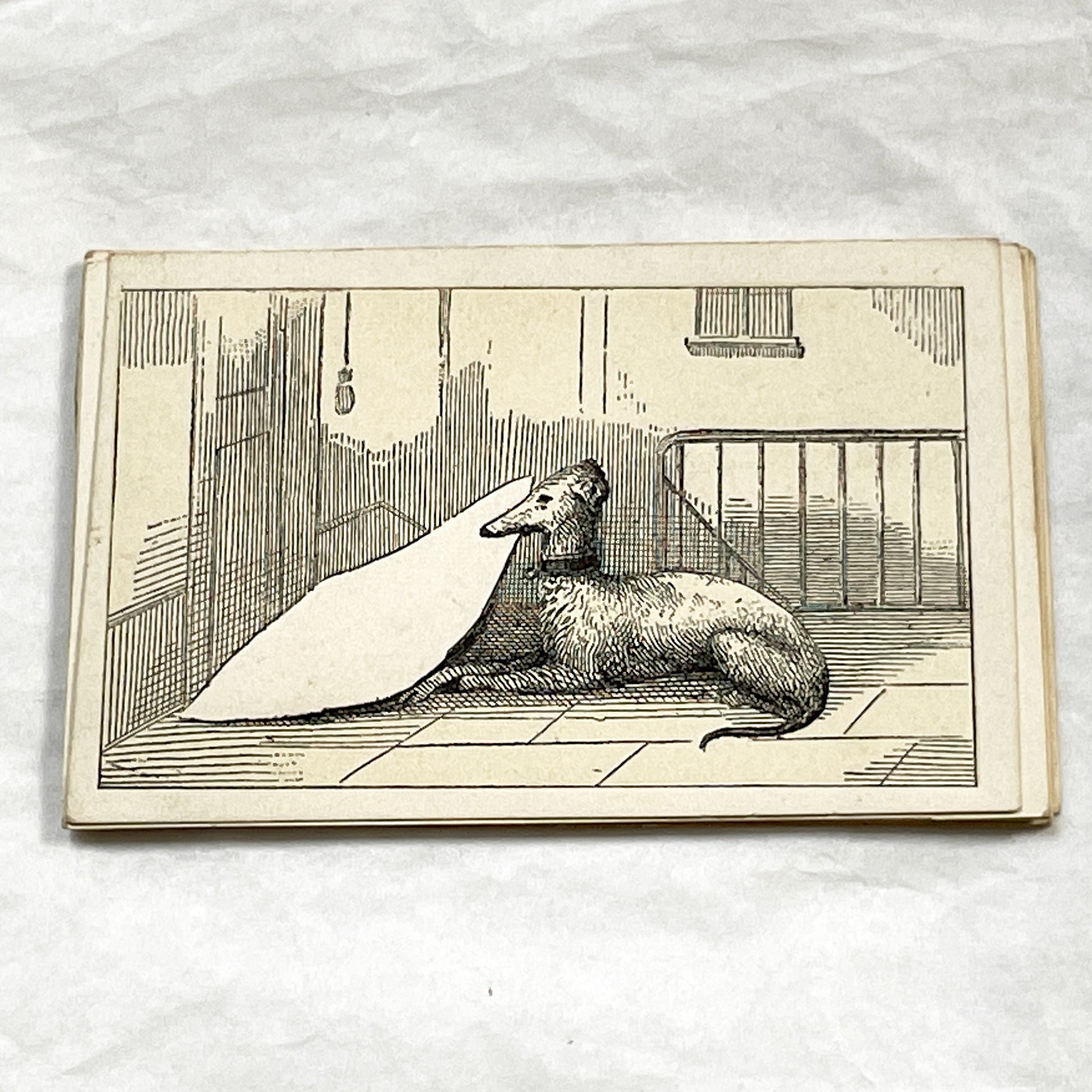 Late 19th - Illustrated Fancy Card - Elegant Greyhound Dog Motif - Customizable Motto Card with Blank Space - Vintage Advertising Ephemera