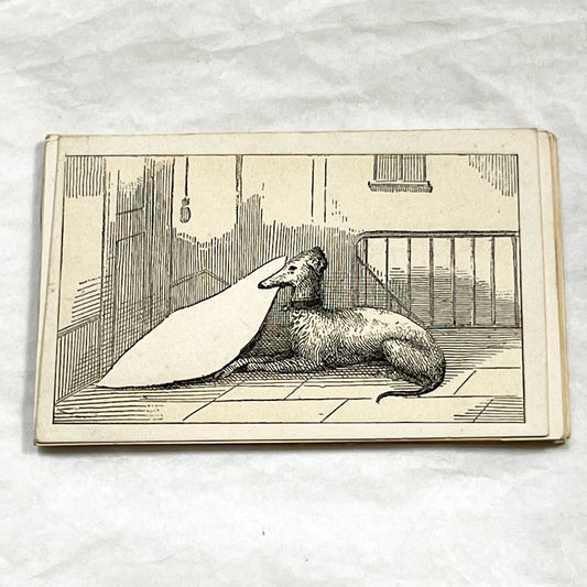 Late 19th - Illustrated Fancy Card - Elegant Greyhound Dog Motif - Customizable Motto Card with Blank Space - Vintage Advertising Ephemera
