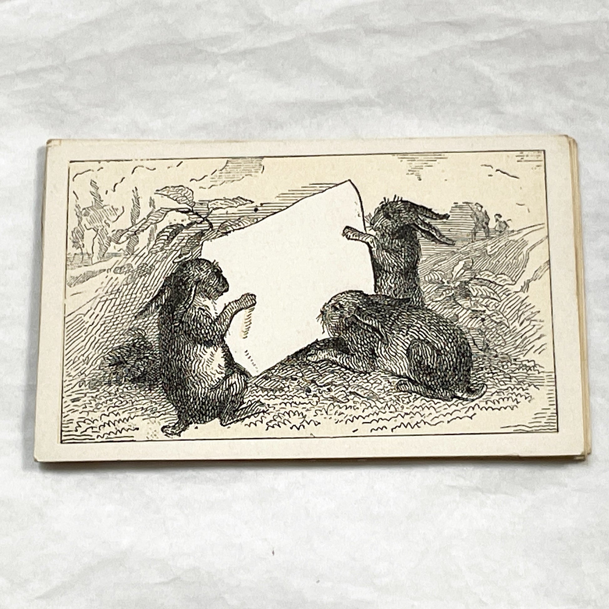 Late 19th - Fancy Card - Motto Card - Charming Rabbits Holding Blank Scroll - Victorian Ephemera - Unique Customizable Animal Illustration