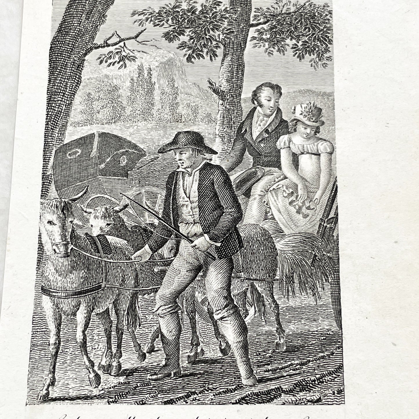 Early 19th - Antique French Print - Le Cabriolet Versé - Humorous Engraving - Rural Scene - Man Leading Donkey Cart - Passengers