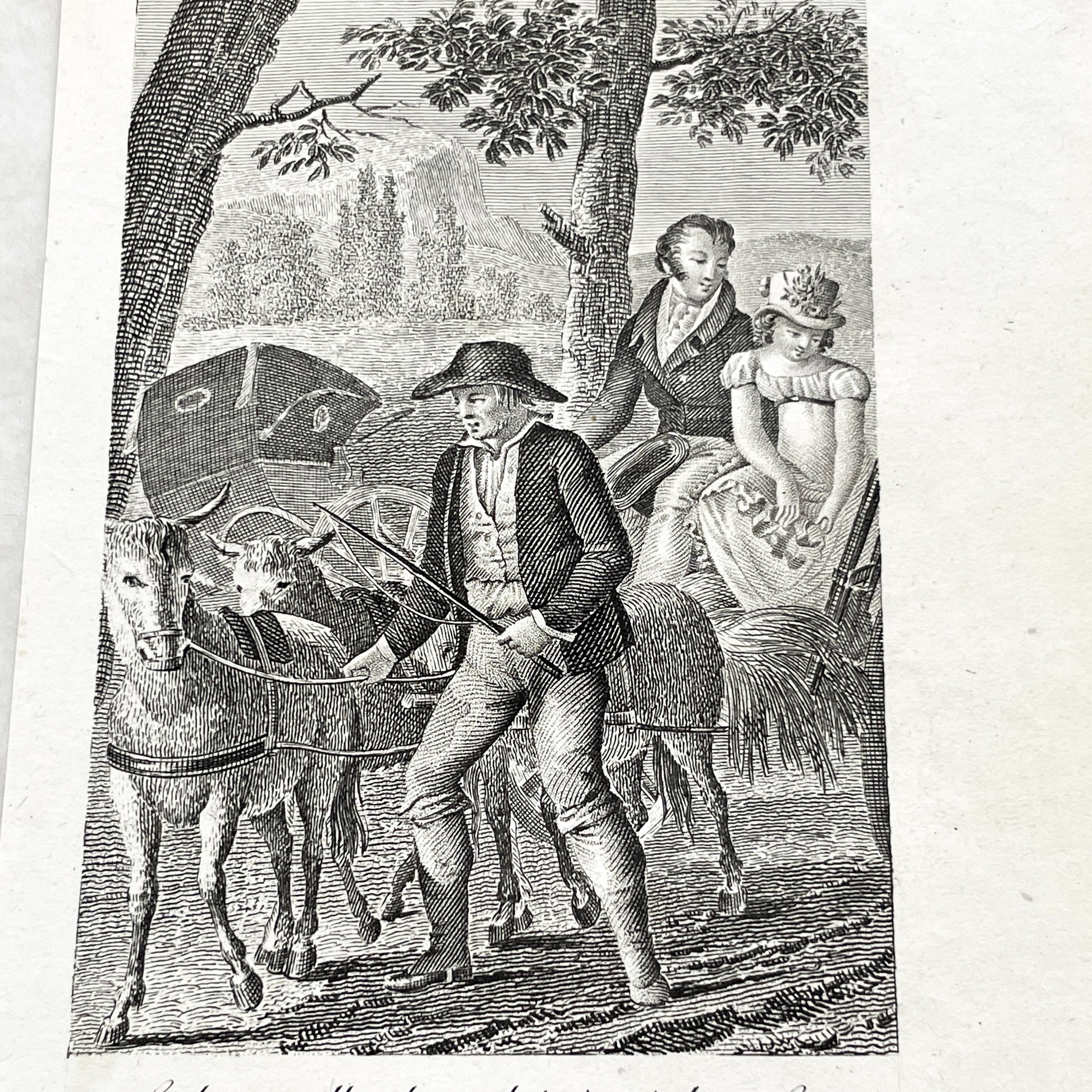 Early 19th - Antique French Print - Le Cabriolet Versé - Humorous Engraving - Rural Scene - Man Leading Donkey Cart - Passengers