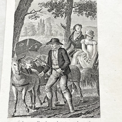 Early 19th - Antique French Print - Le Cabriolet Versé - Humorous Engraving - Rural Scene - Man Leading Donkey Cart - Passengers