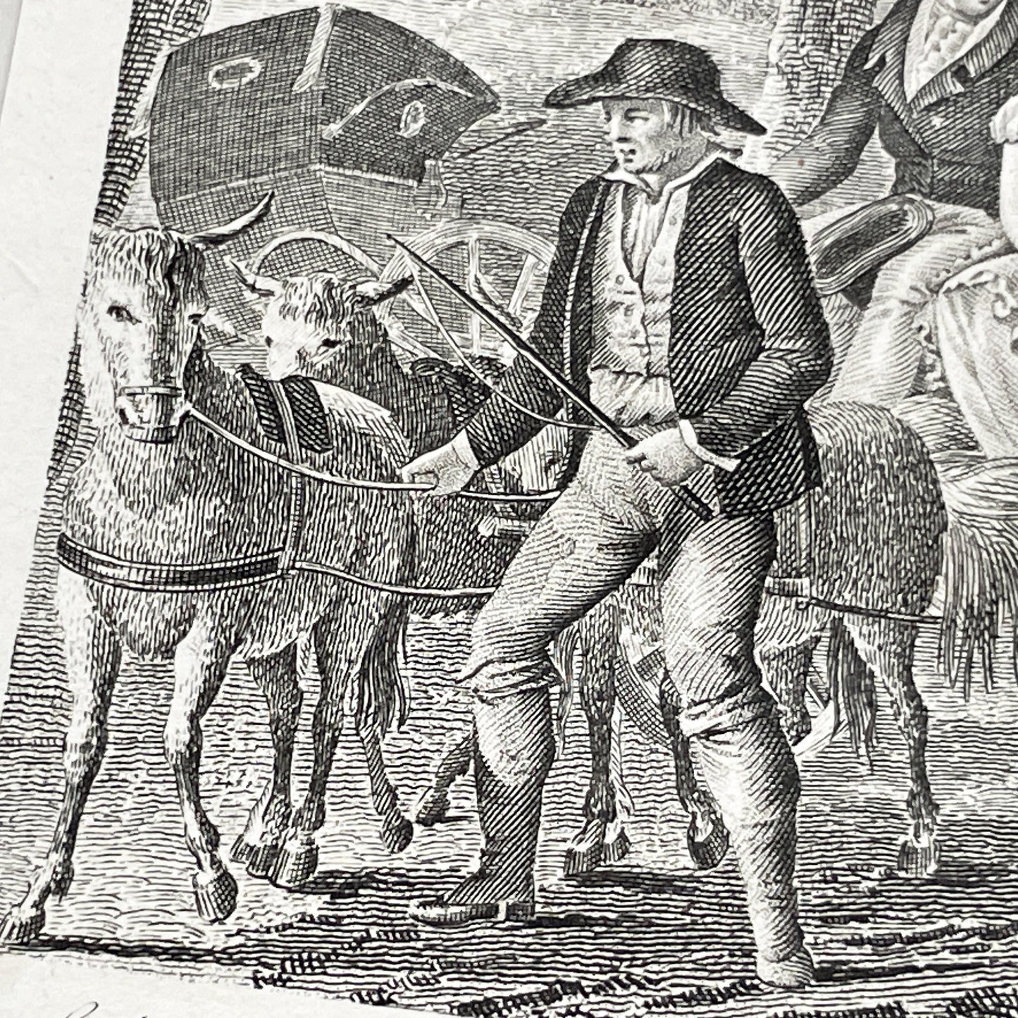 Early 19th - Antique French Print - Le Cabriolet Versé - Humorous Engraving - Rural Scene - Man Leading Donkey Cart - Passengers