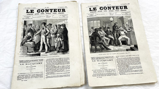 Late 19th - French Periodical Newspapers Le Conteur - Illustrated Victorian Fiction - 1880 Editions - Historical Literature