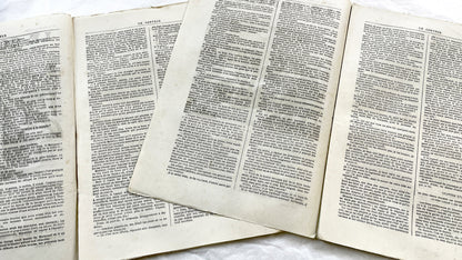 Late 19th - French Periodical Newspapers Le Conteur - Illustrated Victorian Fiction - 1880 Editions - Historical Literature