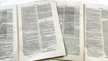 Late 19th - French Periodical Newspapers Le Conteur - Illustrated Victorian Fiction - 1880 Editions - Historical Literature