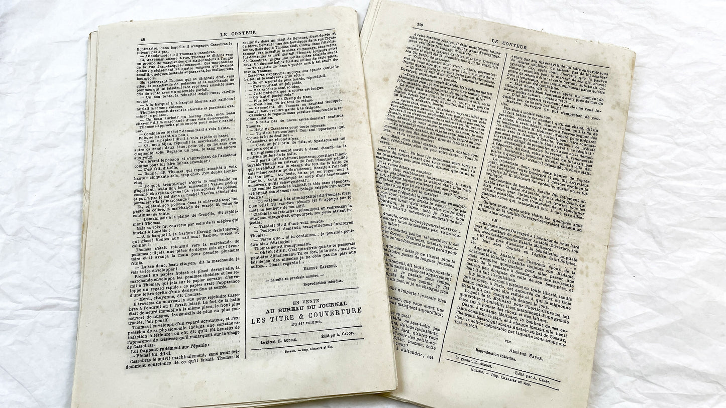 Late 19th - French Periodical Newspapers Le Conteur - Illustrated Victorian Fiction - 1880 Editions - Historical Literature