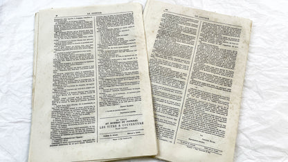 Late 19th - French Periodical Newspapers Le Conteur - Illustrated Victorian Fiction - 1880 Editions - Historical Literature