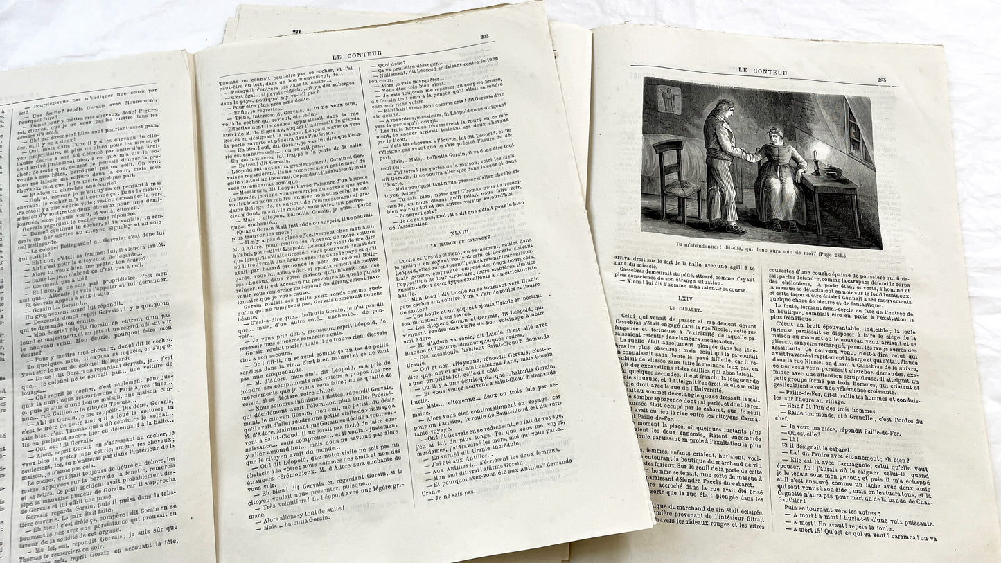 Late 19th - French Literary Periodicals - Vintage Magazine Issues from 1880-1881 - Illustrated Publications of Literature and Biographies