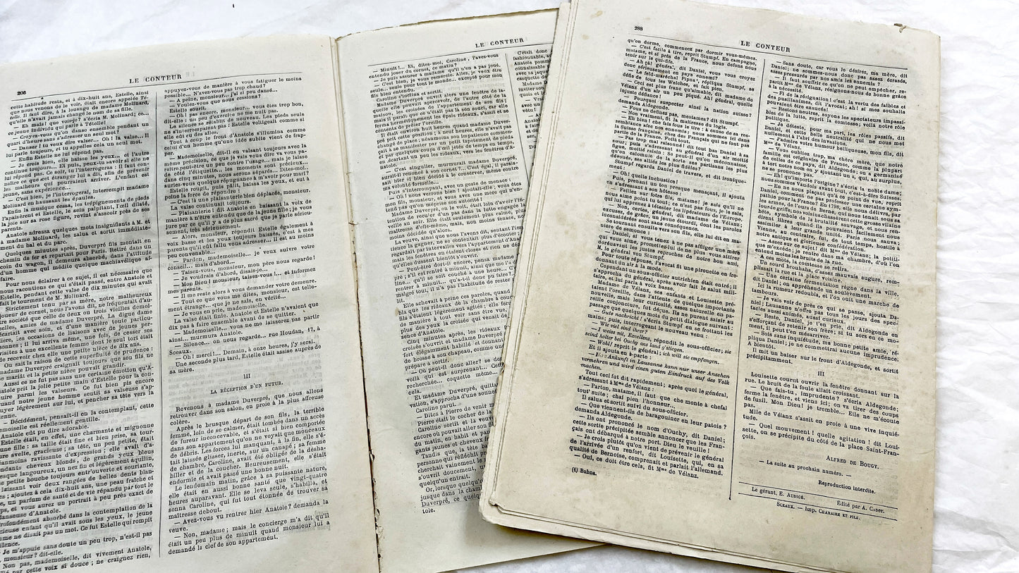 Late 19th - French Literary Periodicals - Vintage Magazine Issues from 1880-1881 - Illustrated Publications of Literature and Biographies