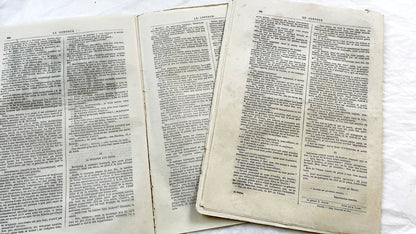 Late 19th - French Literary Periodicals - Vintage Magazine Issues from 1880-1881 - Illustrated Publications of Literature and Biographies