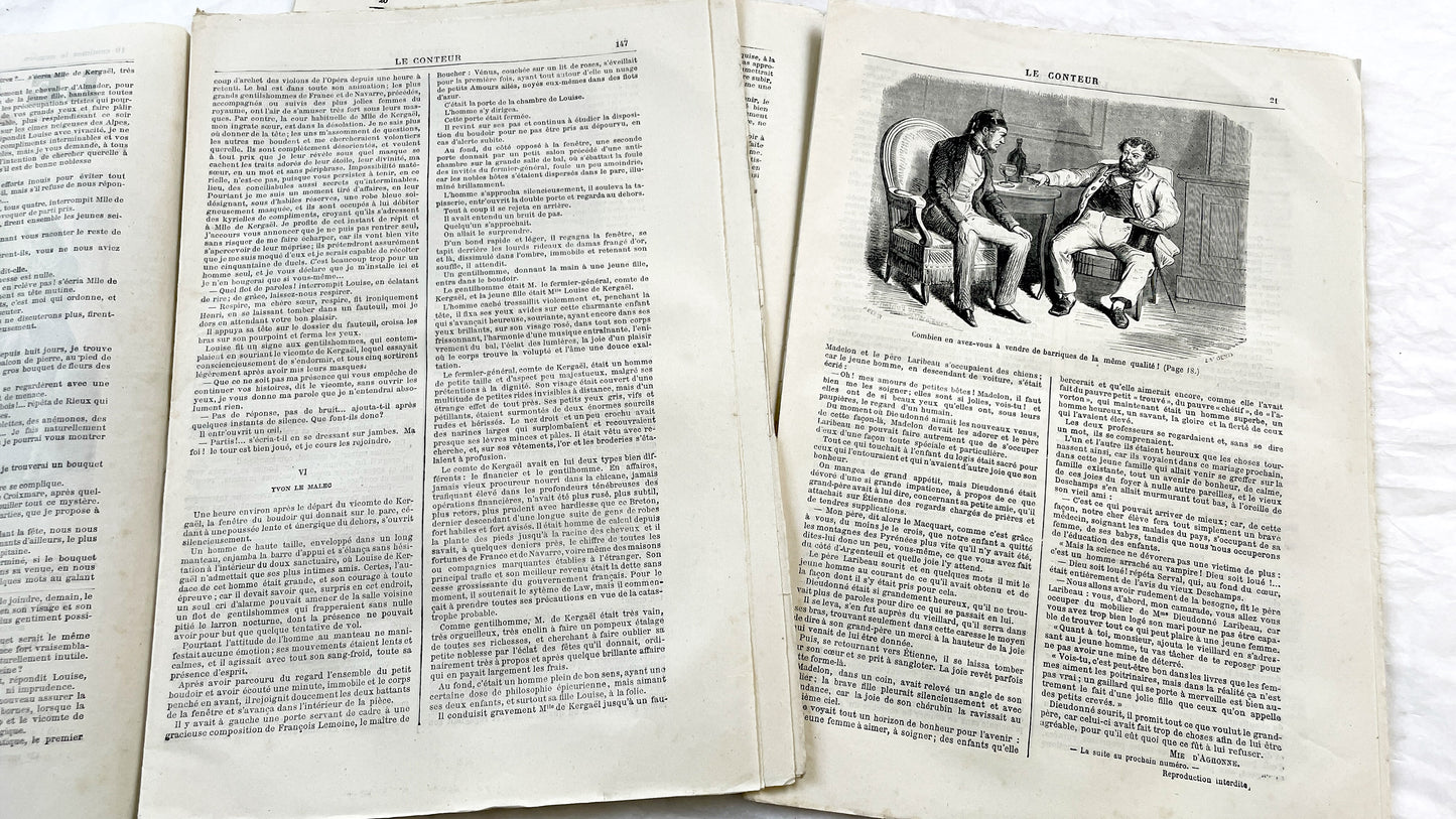 Late 19th - French Literary Journals Le Conteur - Historic Illustrated Newspapers - Fiction - Biographies - Voyages - Collectible Editions