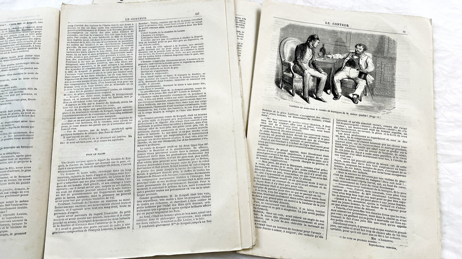 Late 19th - French Literary Journals Le Conteur - Historic Illustrated Newspapers - Fiction - Biographies - Voyages - Collectible Editions