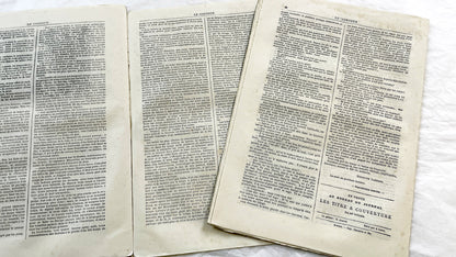 Late 19th - French Literary Journals Le Conteur - Historic Illustrated Newspapers - Fiction - Biographies - Voyages - Collectible Editions