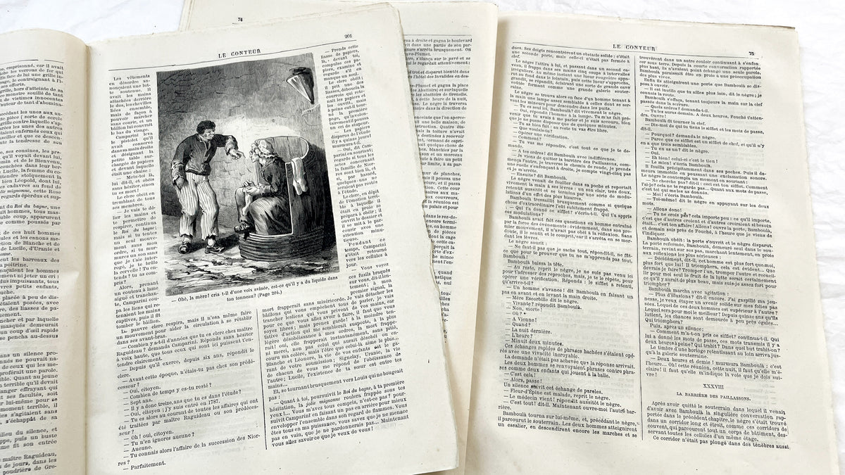 Late 19th - French Illustrated Newspaper Le Conteur - 1881 Editions - Literature, History, Tales, & Travel Periodical