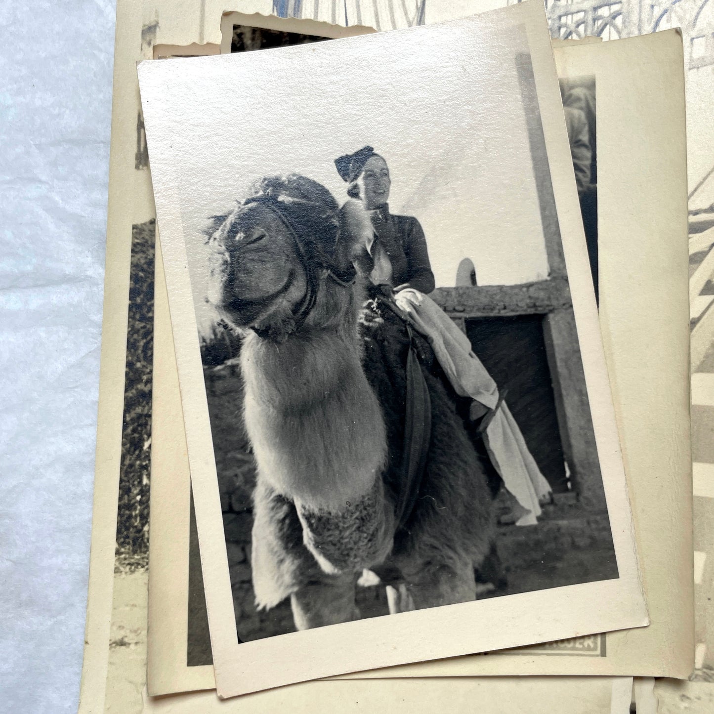 Lot of 1940s vintage photographs featuring family portraits, wedding scenes, beachgoers, and a person riding a camel.