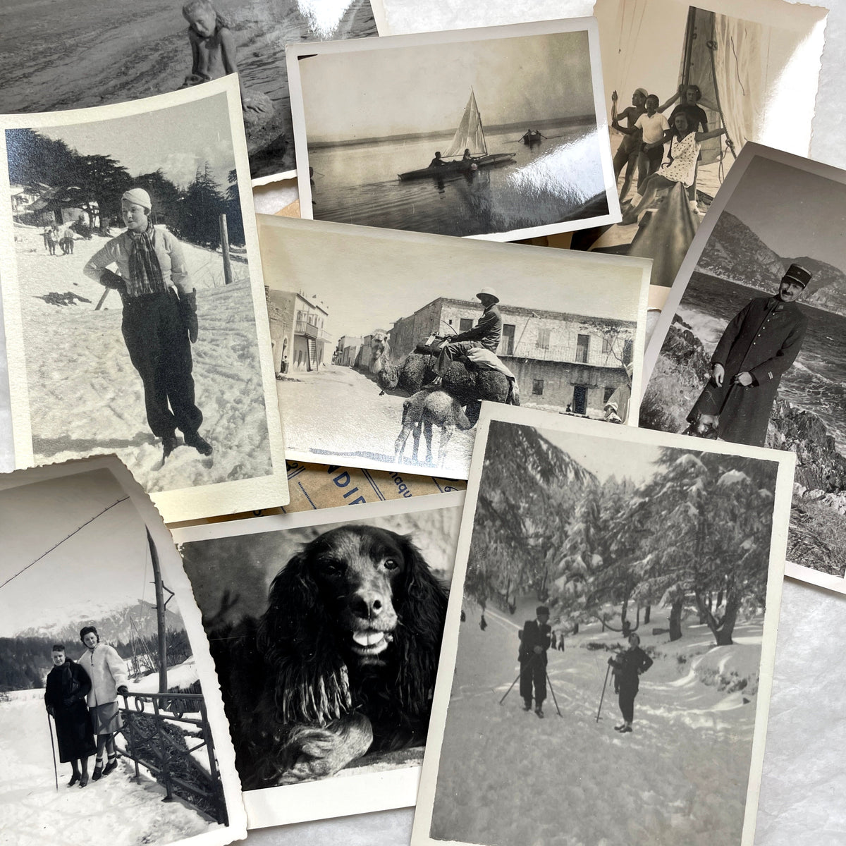 Lot of 1940s vintage photographs showing people skiing, a camel rider, an ocean scene with a military man, and a dog.