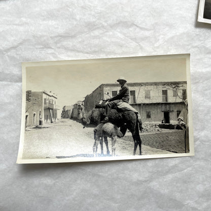 Lot of 1940s vintage photographs showing people skiing, a camel rider, an ocean scene with a military man, and a dog.