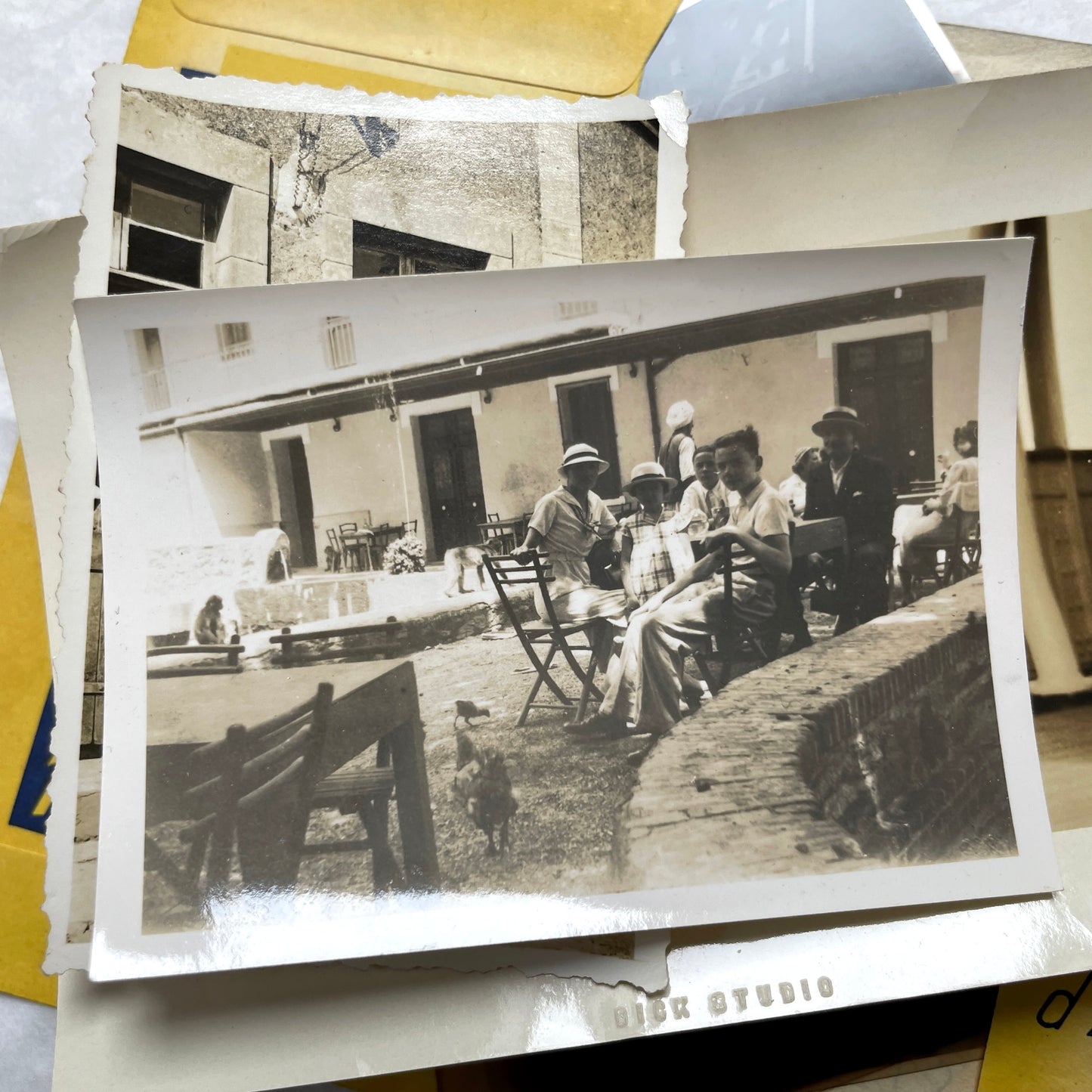 1930s vintage photo lot with French family scenes and original negatives, capturing nostalgic moments of daily life.