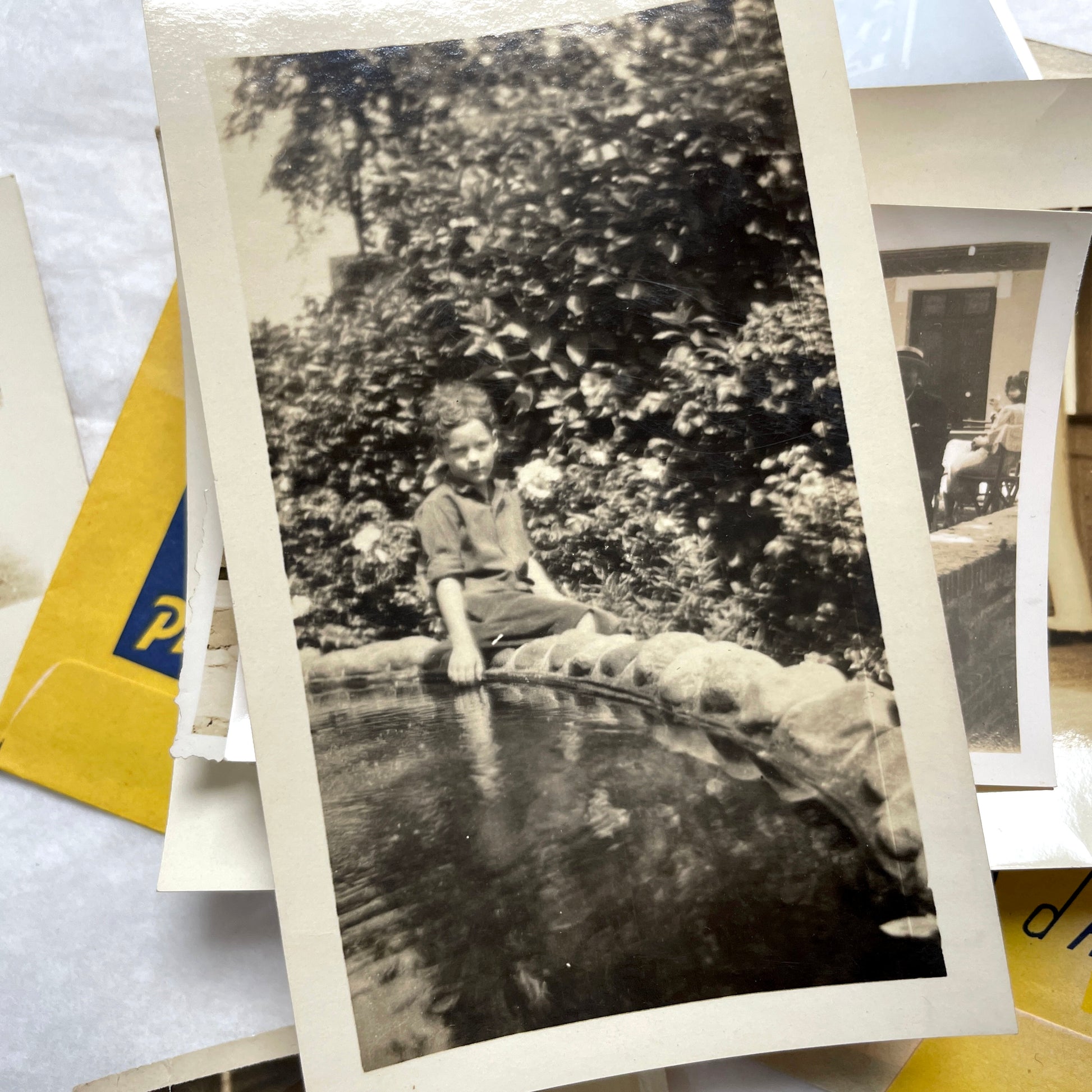 1930s vintage photo lot with French family scenes and original negatives, capturing nostalgic moments of daily life.