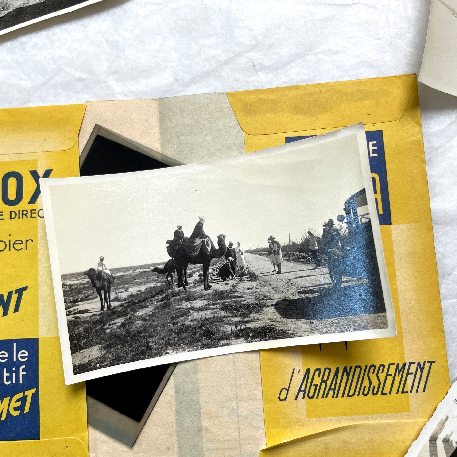 1920s vintage photograph lot showing people skiing in mountains, riding camels in the desert, and gathered on a ship deck.