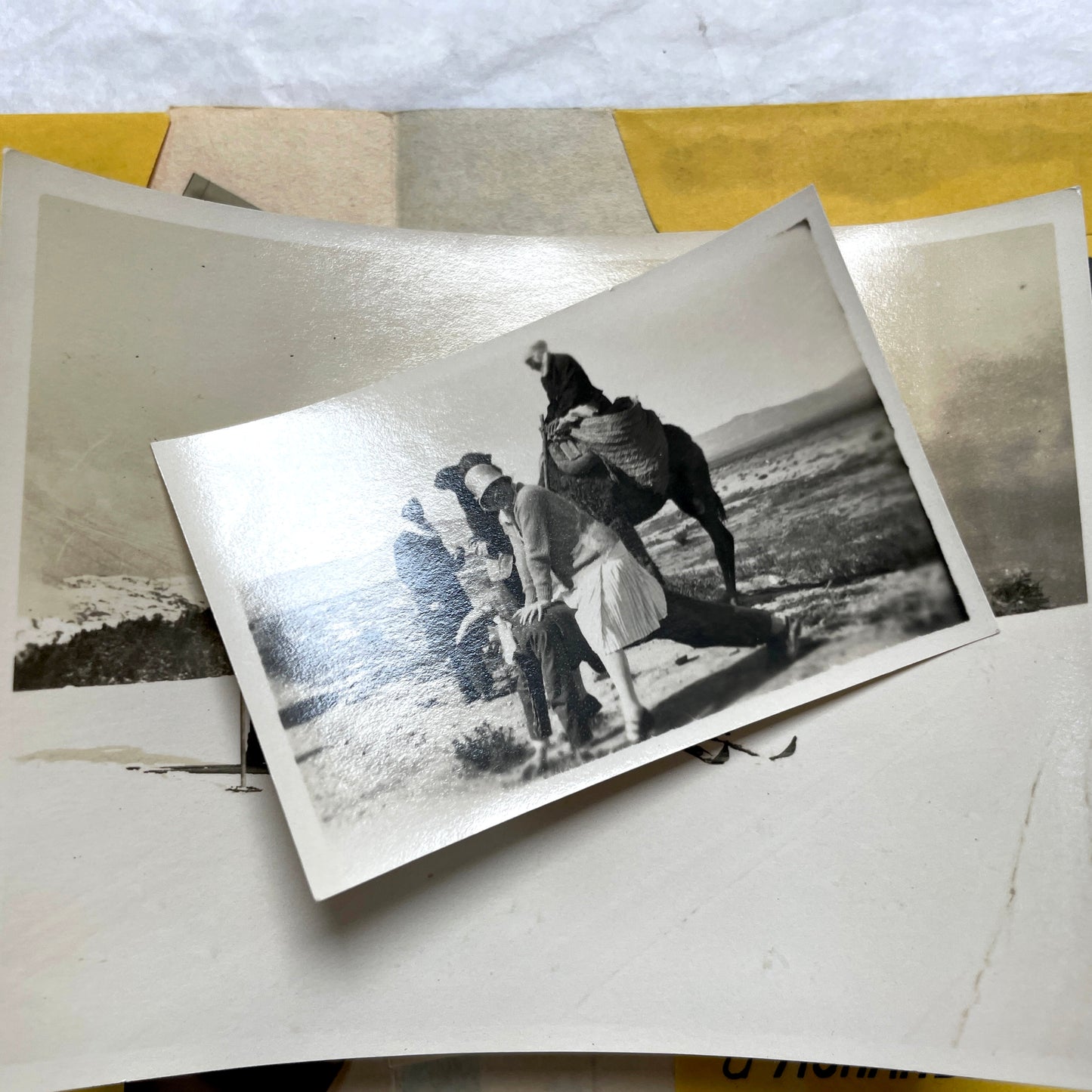 1920s vintage photograph lot showing people skiing in mountains, riding camels in the desert, and gathered on a ship deck.