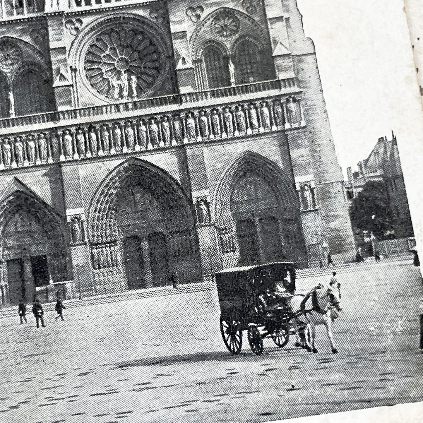 1910s - Vintage Postcard - Notre-Dame Cathedral Paris - Historic French Landmark - Gothic Architecture - Horse Carriage Scene