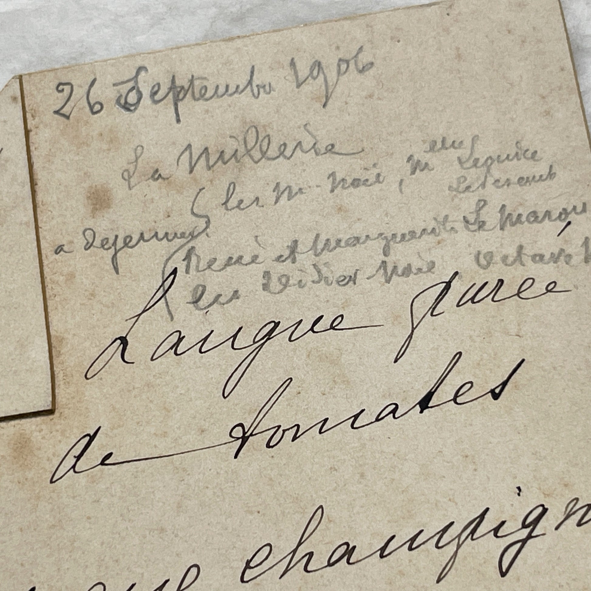 1900s - Vintage French Handwritten Menu Card - Historical Dining - Elegant Meal Plan from 1906 - Classic French Cuisine Revealed