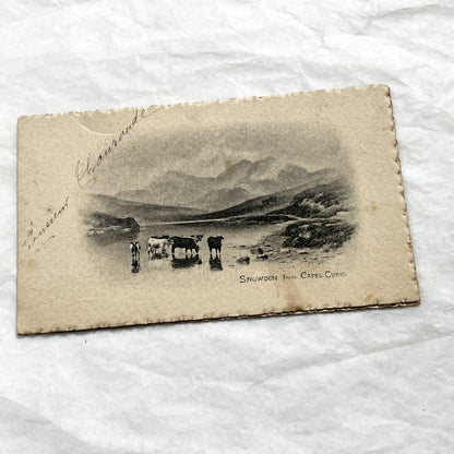 1900s - Handwritten French Menu Card - Wedding Anniversary - Vintage Culinary History - Elegant Dinner - Fine Dining Experience
