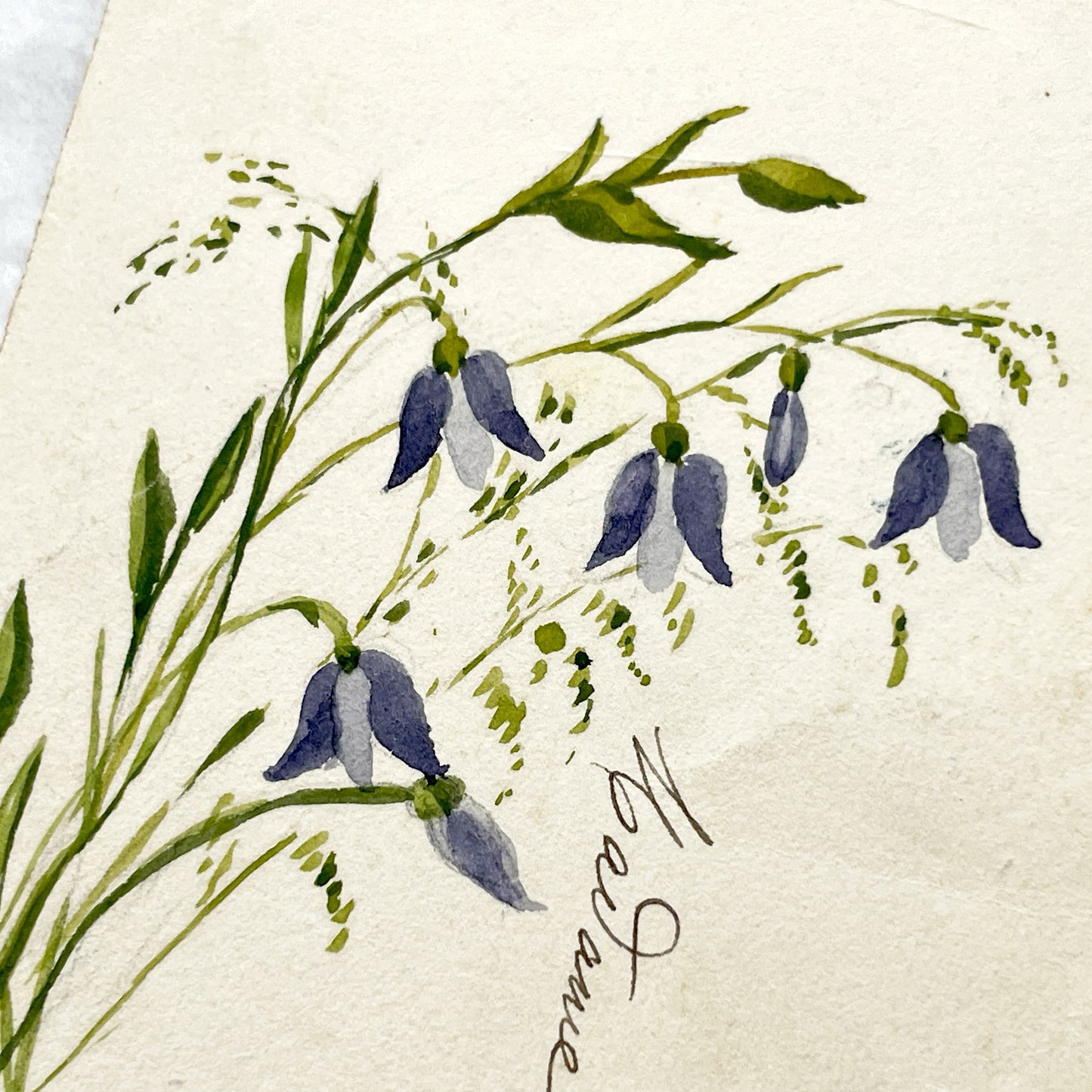 1890s - French Handwritten Menu Card - Elegant Culinary History - Vintage Dining Experience - December 1896 Festive Meal