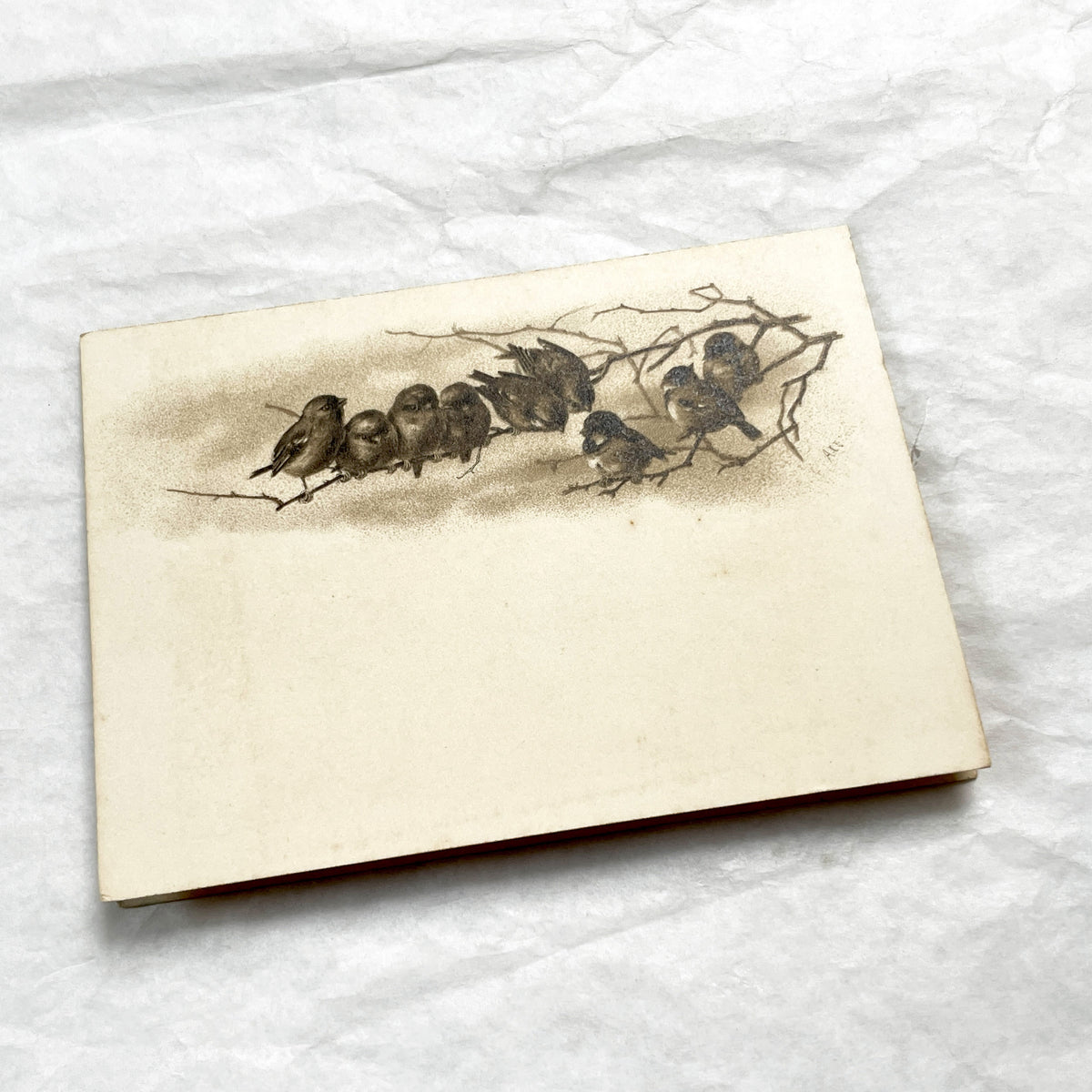 Late 19th - Exquisite French Menu Card - Elegant Handwritten Dining Experience - Formal Dinner - Decadent Cuisine - Historical Gastronomy
