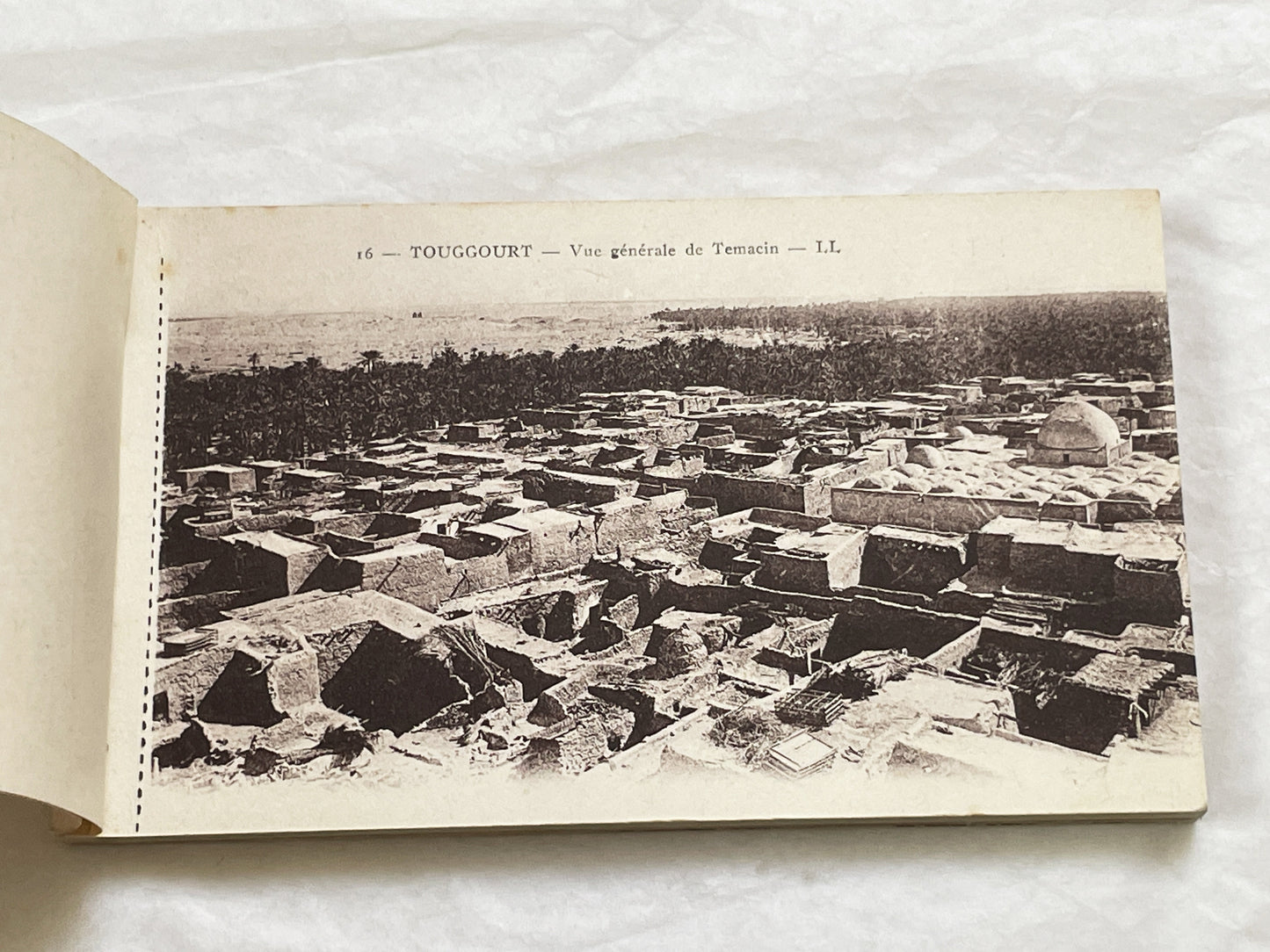 1910s - Touggourt Postcard Booklet - Vintage North African Photos - Algerian Oasis Scenes - Historical Travel Souvenir Album