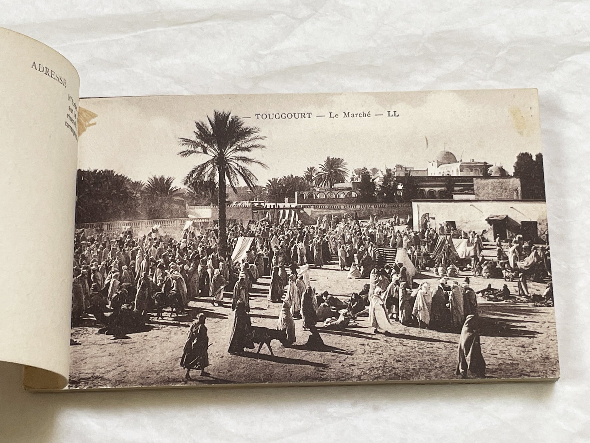 1910s - Touggourt Postcard Booklet - Vintage North African Photos - Algerian Oasis Scenes - Historical Travel Souvenir Album