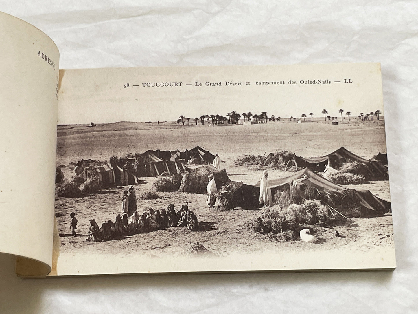 1910s - Touggourt Postcard Booklet - Vintage North African Photos - Algerian Oasis Scenes - Historical Travel Souvenir Album