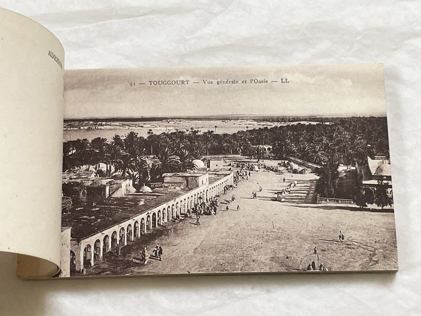 1910s - Touggourt Postcard Booklet - Vintage North African Photos - Algerian Oasis Scenes - Historical Travel Souvenir Album