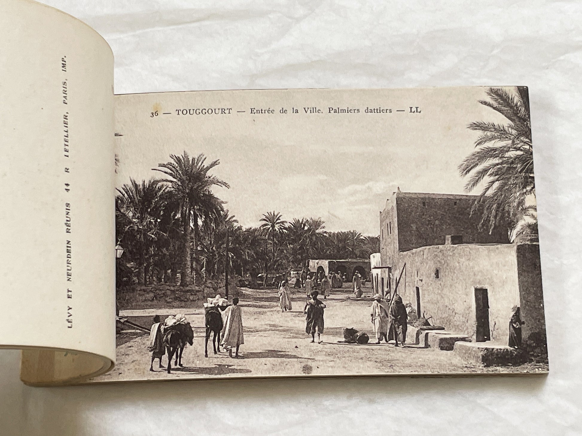 1910s - Touggourt Postcard Booklet - Vintage North African Photos - Algerian Oasis Scenes - Historical Travel Souvenir Album