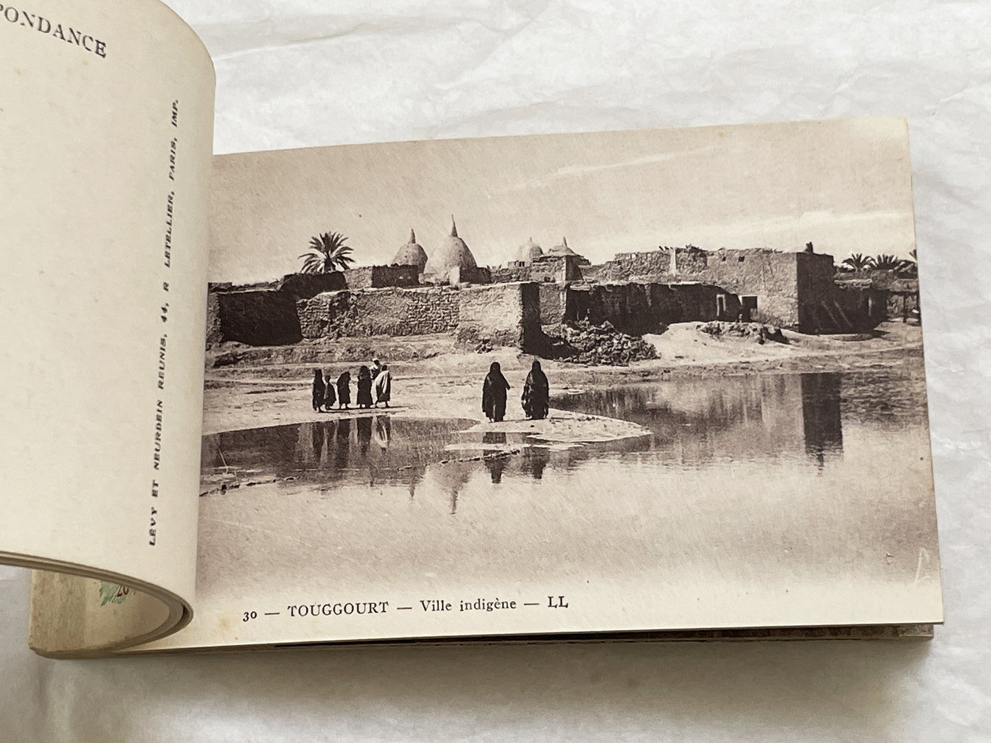 1910s - Touggourt Postcard Booklet - Vintage North African Photos - Algerian Oasis Scenes - Historical Travel Souvenir Album